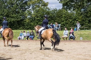 Bild 370 - Pony Akademie Turnier